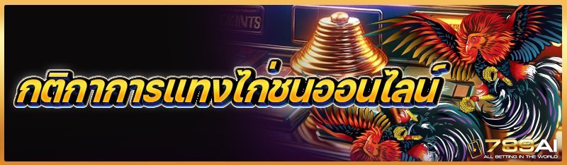 กติกาการแทงไก่ชนออนไลน์